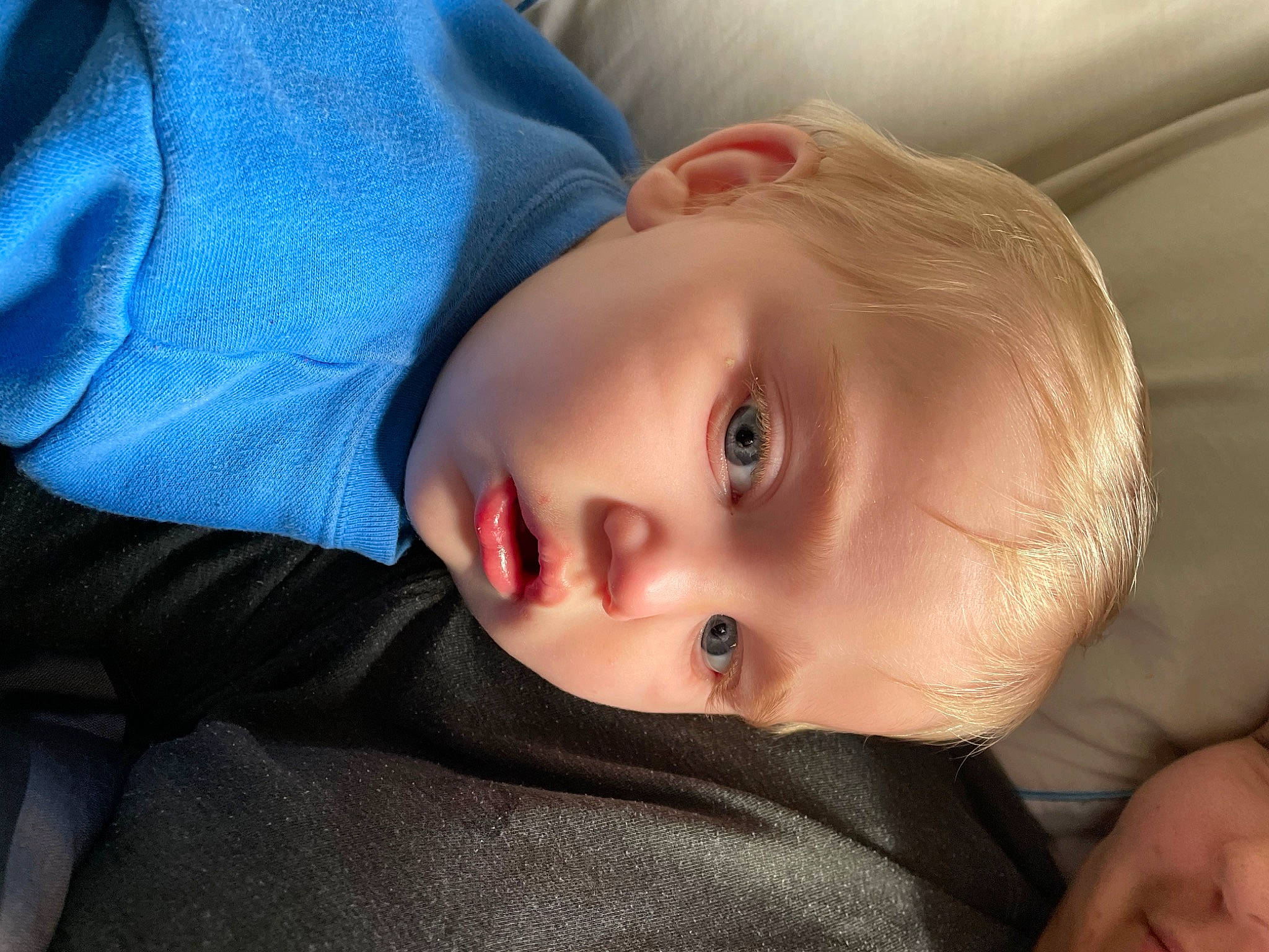 Remmi is registered to the contest to win money with this photo: blond, cheek, child, comfort, cool, electric_blue, eyebrow, eyelash, flash_photography, hairstyle, iris, lip, mouth, neck, nose, person, skin, sleeve, toddler, tree