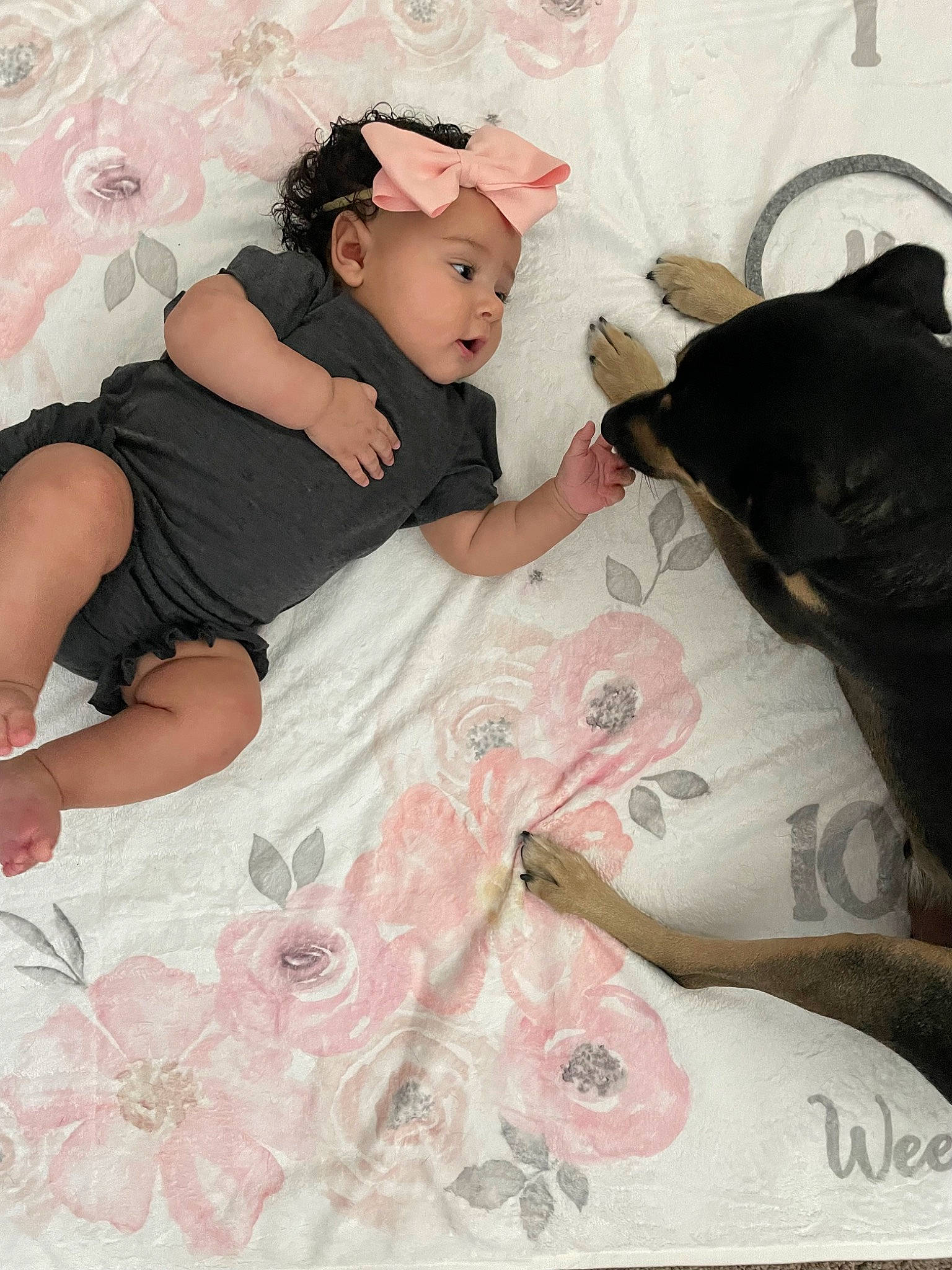 Kaia is registered to the contest to win money with this photo: baby, baby_toddler_clothing, child, comfort, dog, dress, embellishment, event, fashion_accessory, fashion_design, headpiece, linens, magenta, pattern, peach, person, pink, skin, sleeve, textile