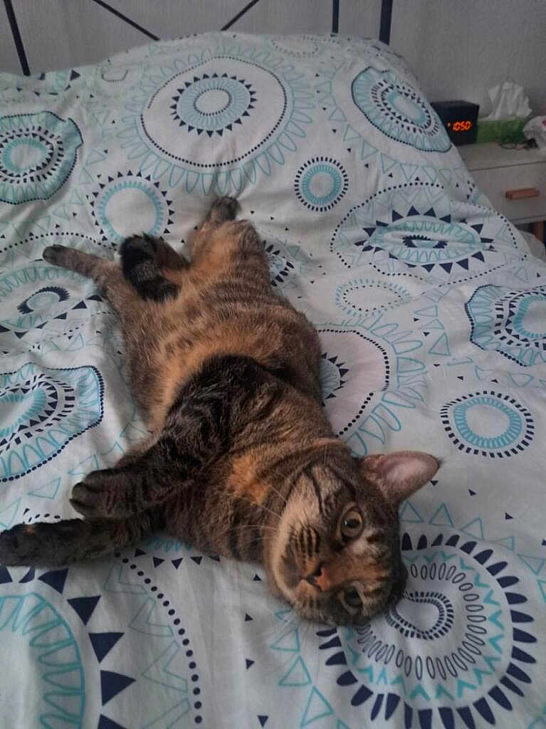 Mimi