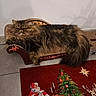 cat, fluffy, feline, resting, indoor, furniture, miniature_chaise_lounge, carpet, holiday_decor, christmas_tree, santa_claus, reindeer, decorations, relaxed, pet, fur, tail, cozy, home, cute