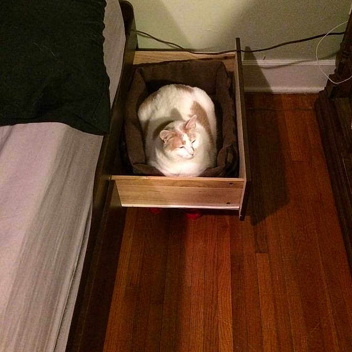 Ciara