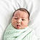 Landon