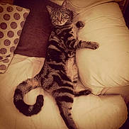 Hope is registered to the contest to win money with this photo: