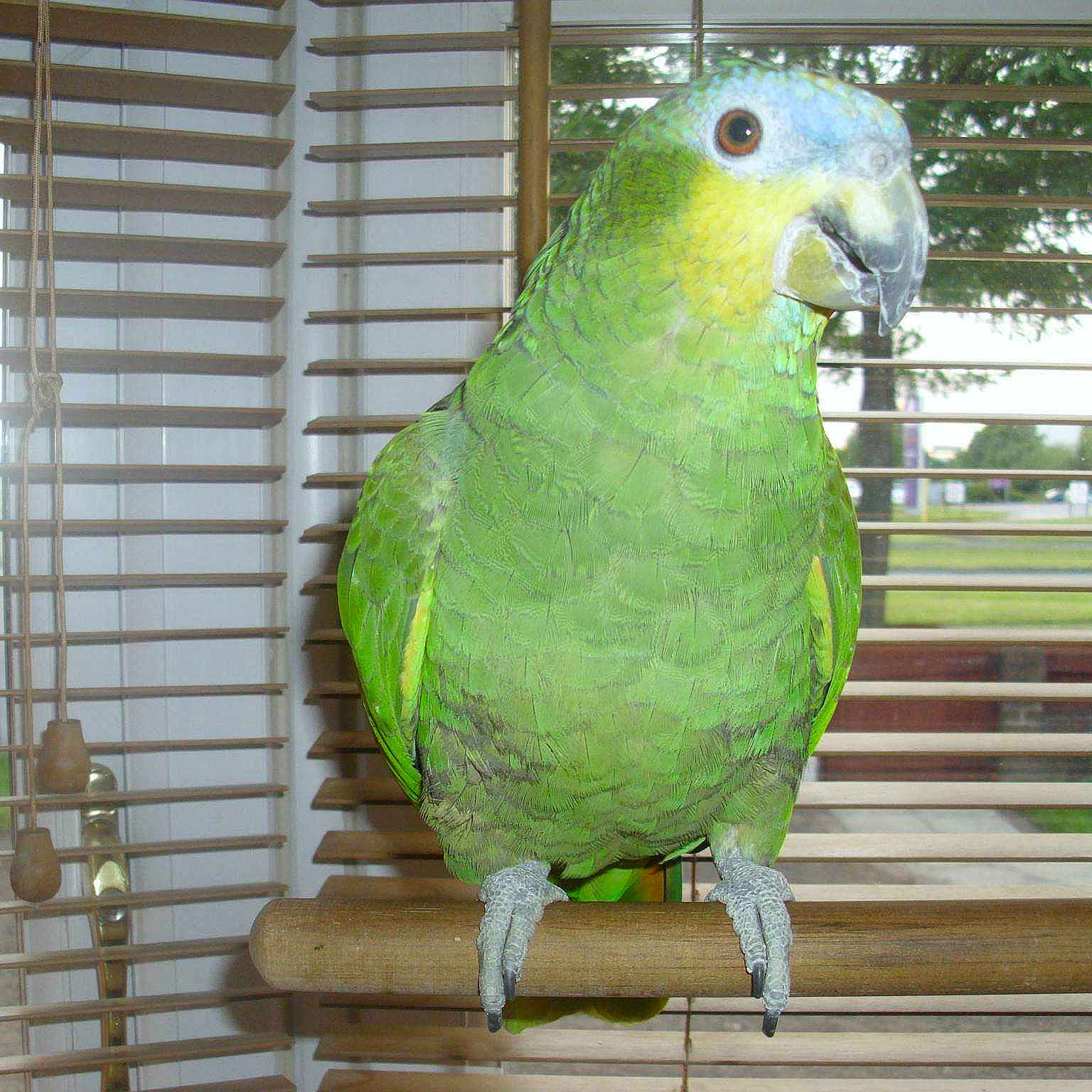 Charlie
