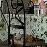 cat, chair, cozy, domestic, furniture, household, indoor, iron_chair, nap, orange_cat, peaceful, pet, quiet, resting, sleeping, table, tablecloth, two_cats, water_bottle, white_cat