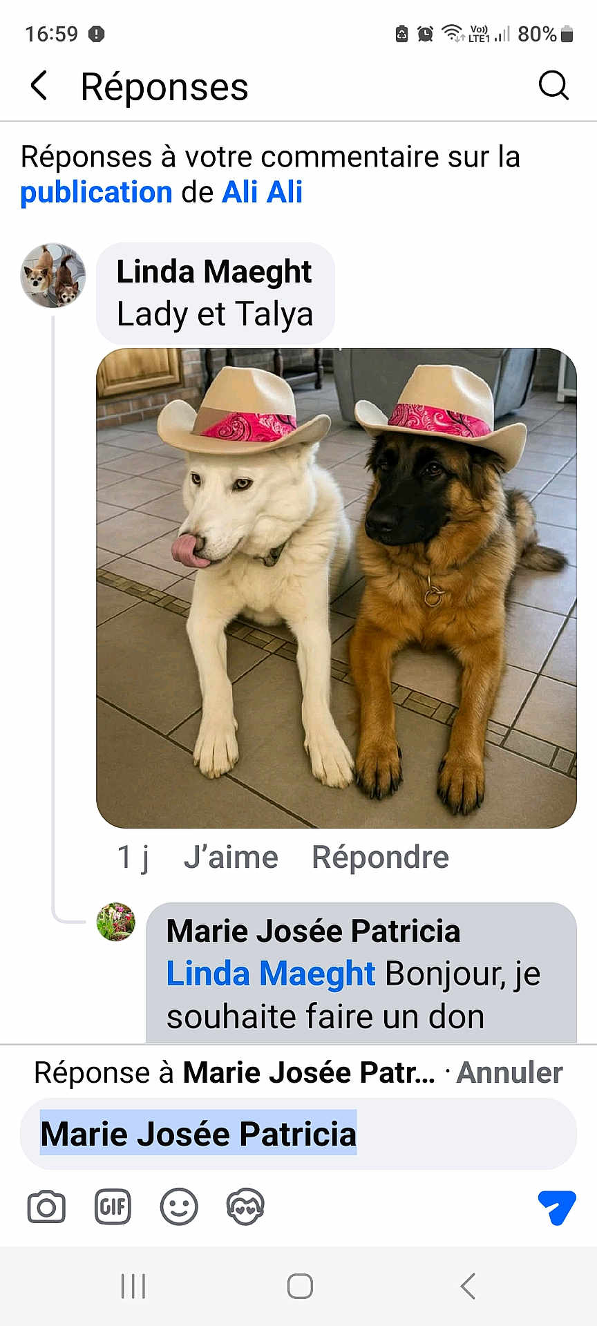 Talya Et Lady a rejoint le concours — aidez-le/la à gagner de superbes lots ! dog, white_dog, brown_dog, cowboy_hat, hat, indoor, tile_floor, pet, animal, tongue_out, sitting, two_animals, companion, cute, domestic_animal, playful, funny, hat_bandana, floor, house
