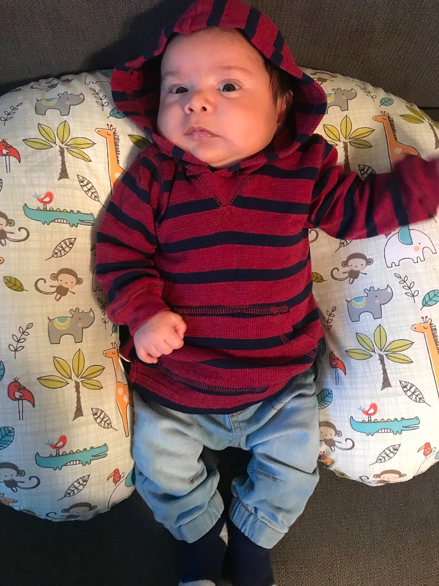 Arian is registered to the contest to win money with this photo: baby, cheek, child, cool, face, head, outerwear, pattern, person, product, skin, sleeve, smile, textile, toddler