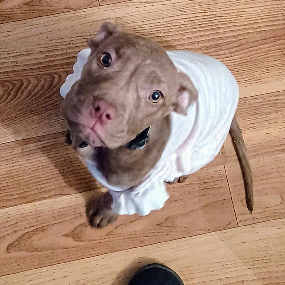 Babygirl