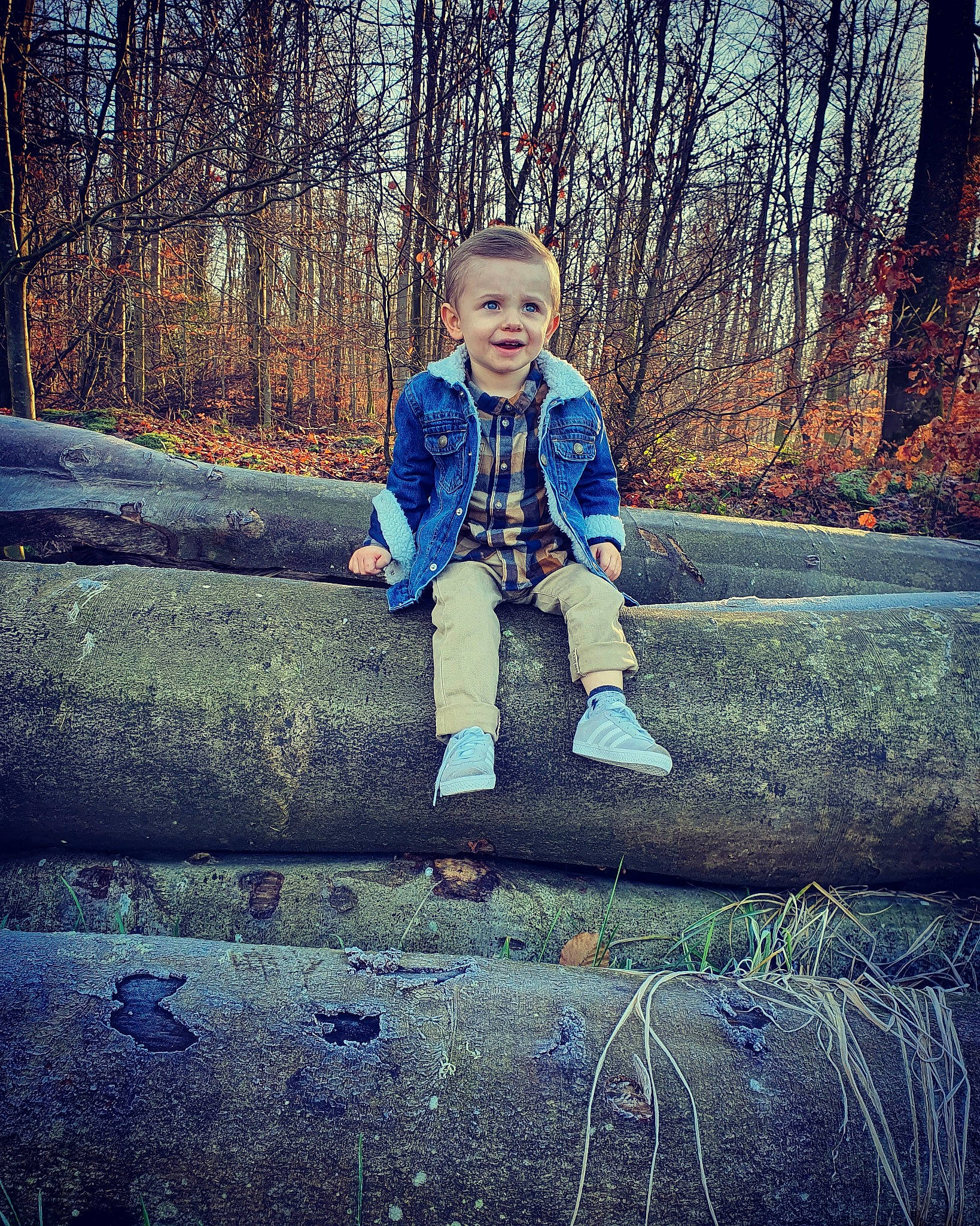 Kylian a rejoint le concours — aidez-le/la à gagner de superbes lots ! child, cloud, cool, denim, fashion, jeans, joy, leaf, natural_environment, people, person, photography, plant, sitting, sky, spring, standing, toddler, tree, wilderness