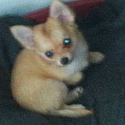 Angel participe au concours pour gagner de l'argent avec cette photo :