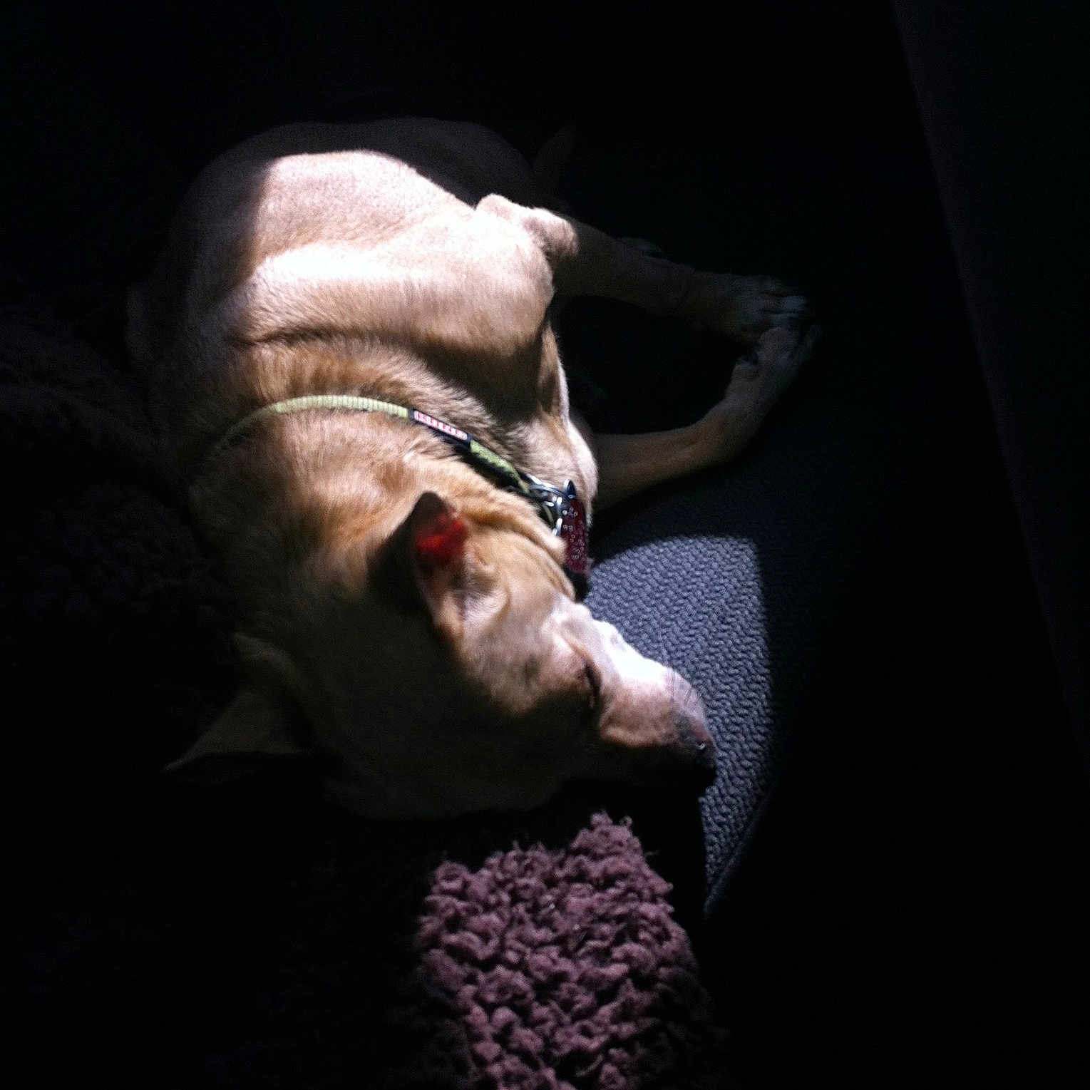 Esè