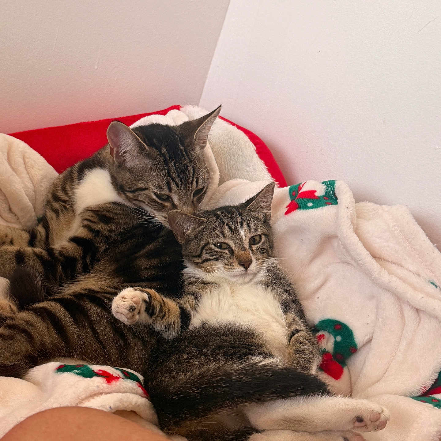 Mila And Pookie