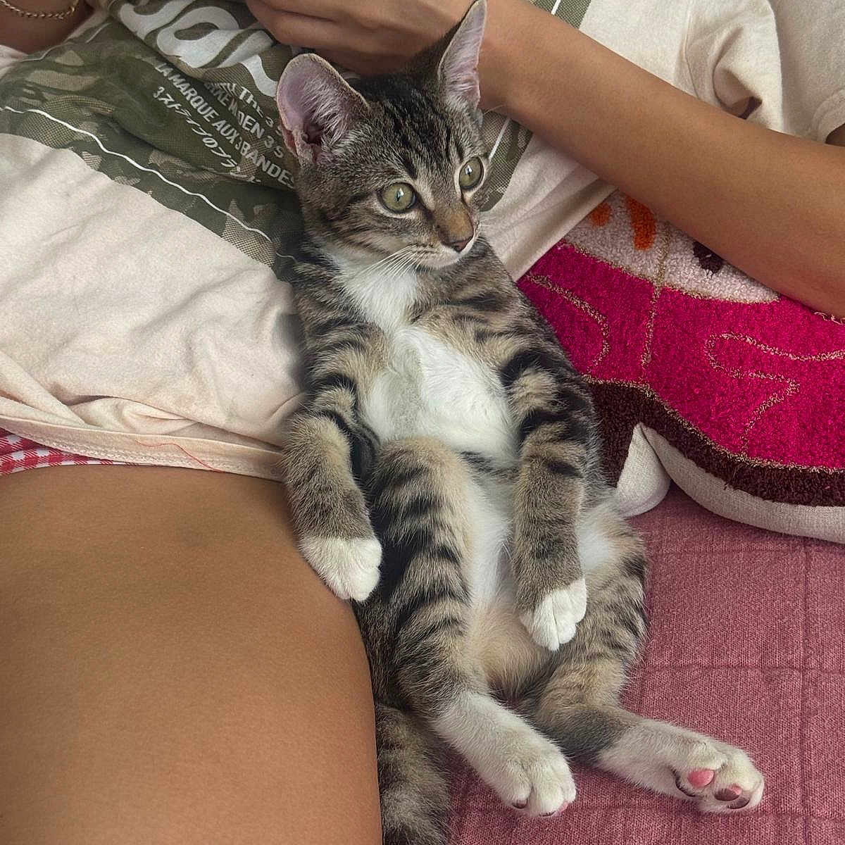Pookie
