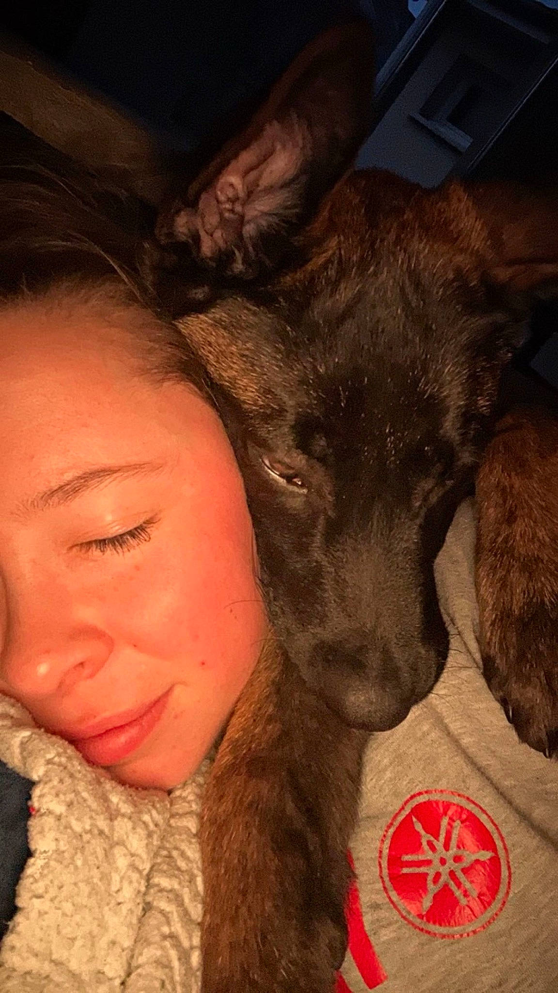 Usko participe au concours pour gagner de l'argent avec cette photo : carnivore, cloud, companion_dog, dog, dog_breed, ear, eyelash, fawn, felidae, fur, gesture, happy, jaw, liver, mouth, nose, selfie, snout, whiskers, working_animal