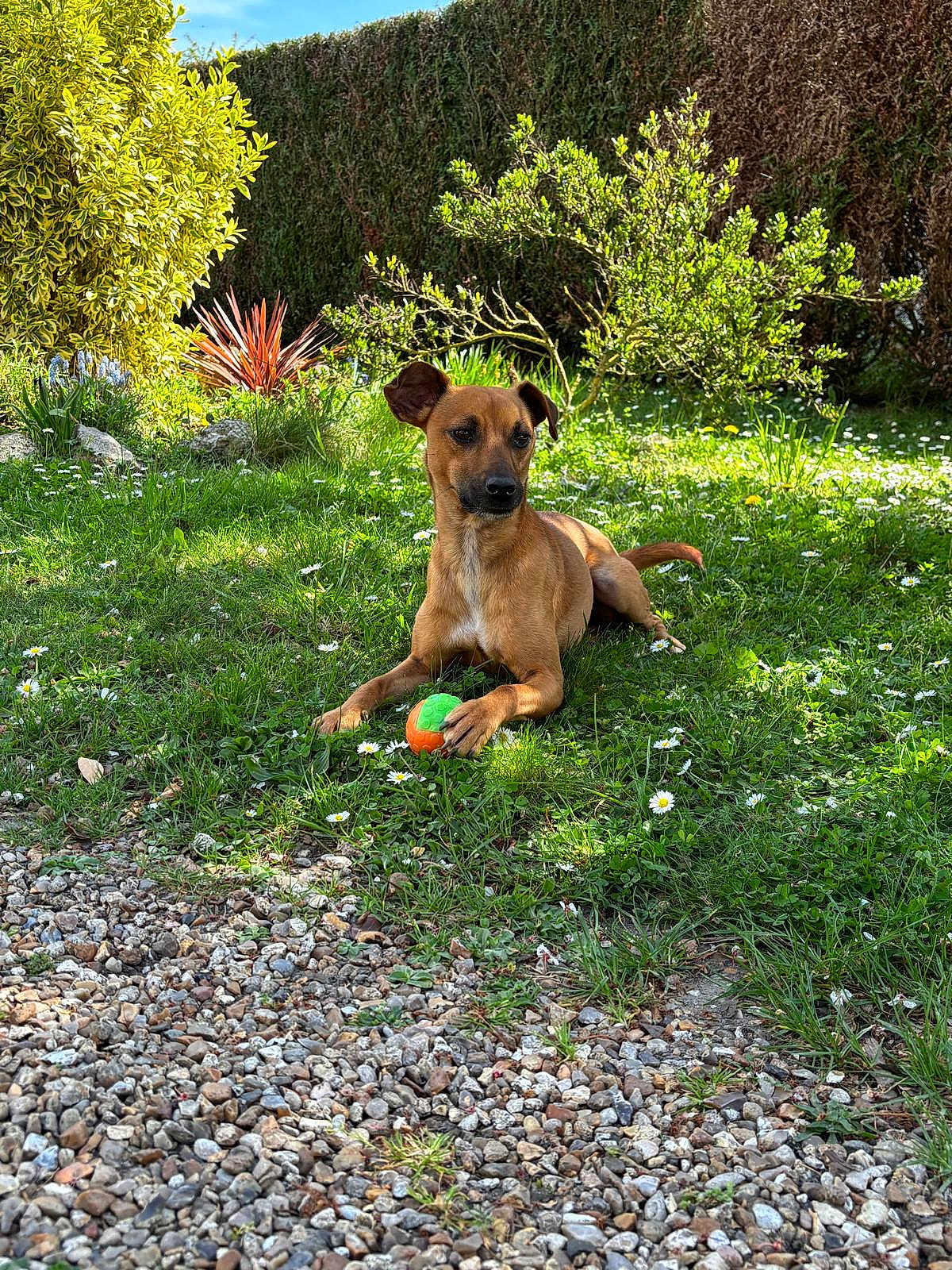 Spike