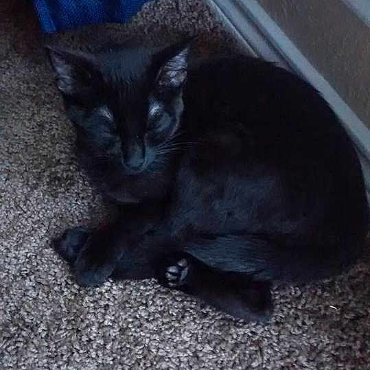 Salem