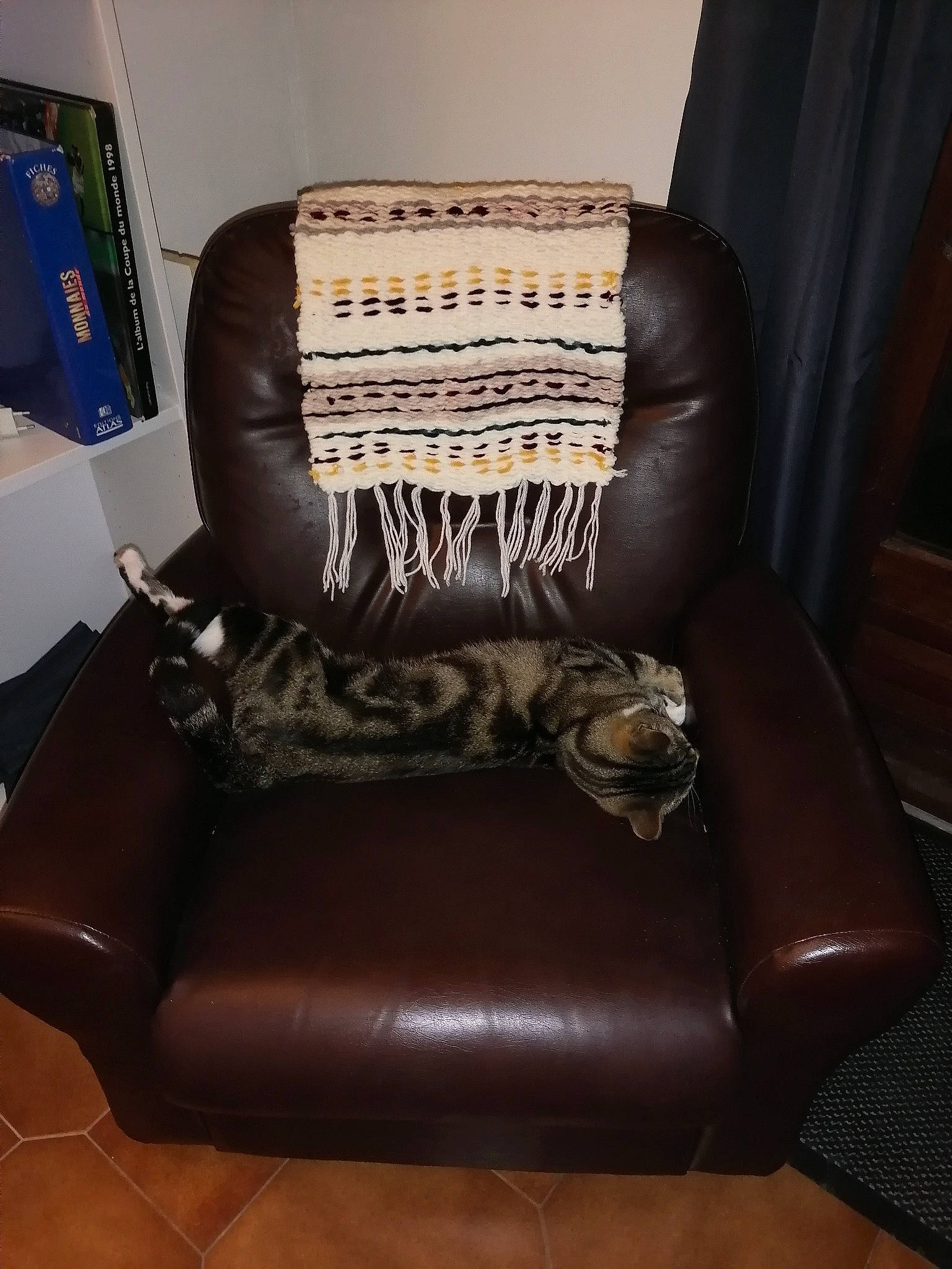 Banjo participe au concours pour gagner de l'argent avec cette photo : brown, chair, club_chair, couch, furniture, hardwood, interior_design, leather, ottoman, recliner, room