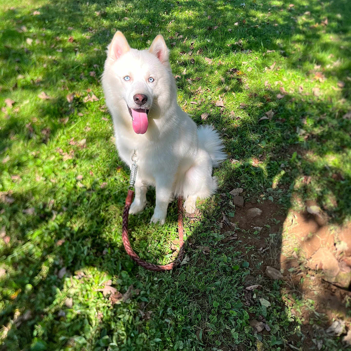 Finn