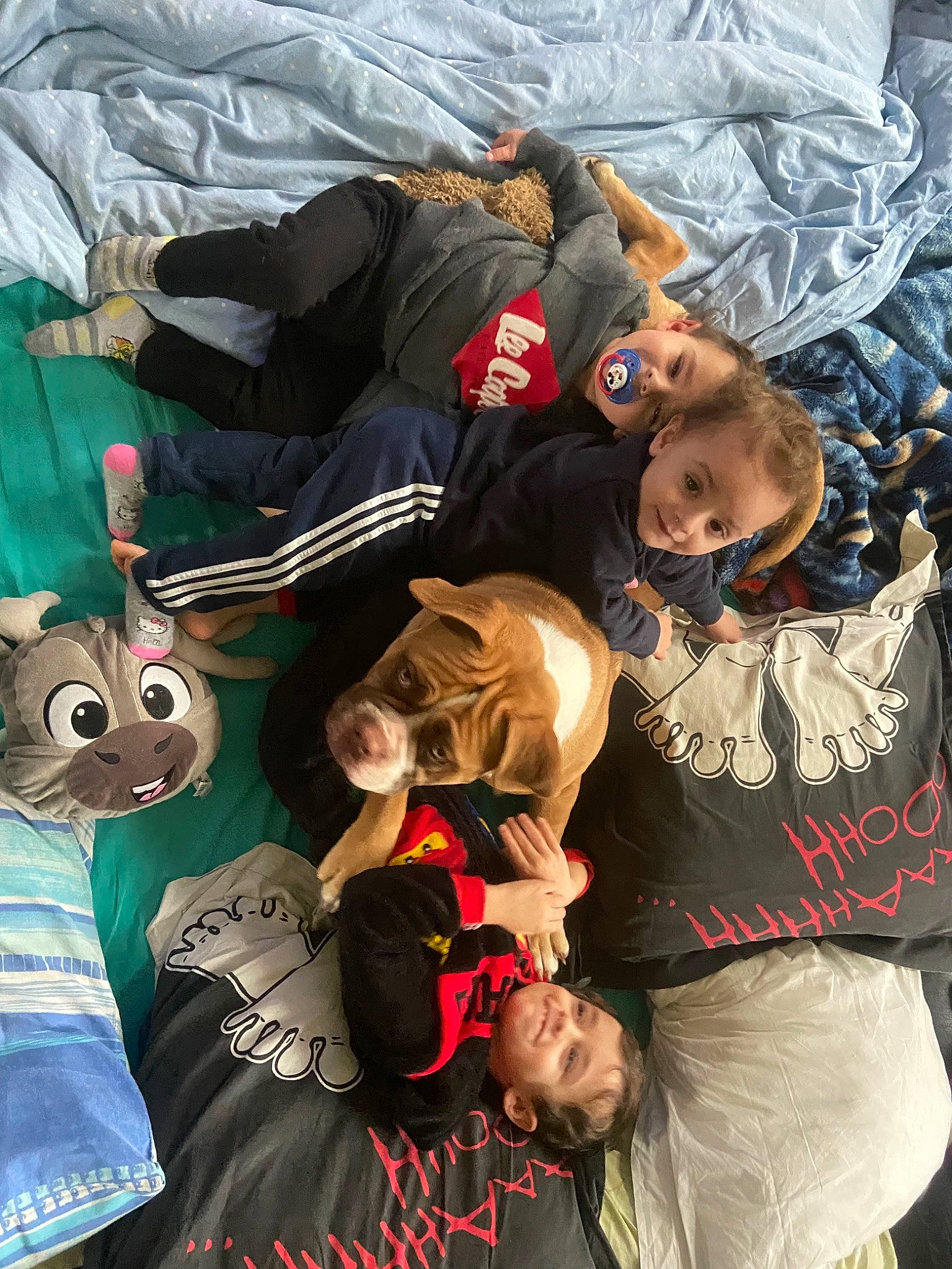 Saphir a rejoint le concours — aidez-le/la à gagner de superbes lots ! comfort, cool, event, fictional_character, font, fun, hat, human, linens, room, t_shirt, team