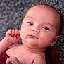 baby, infant, face, skin, eyes, hand, blanket, fabric, portrait, newborn, closeup, expression, sleepwear, soft_texture, resting, cute, child, person, indoors, calm