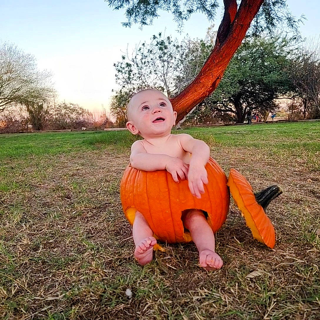 Hunter is registered to the contest to win money with this photo: baby, fawn, fun, grass, grass_family, grassland, happy, human_leg, lawn, lawn_ornament, leisure, meadow, people_in_nature, person, plant, pumpkin, sky, smile, sunlight, toddler
