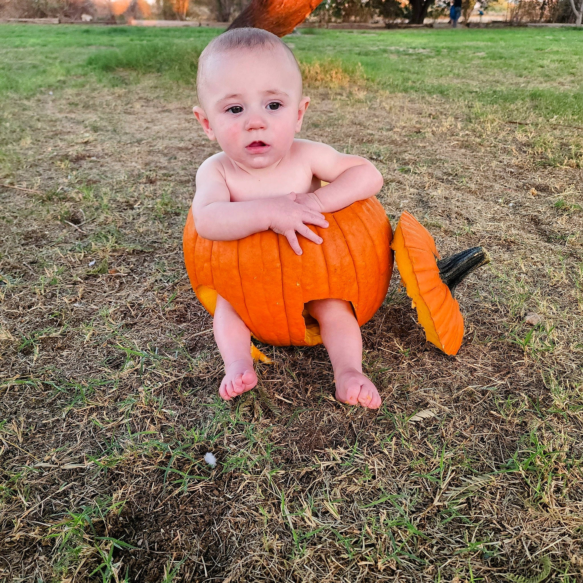 Hunter joined the competition — help win amazing prizes! baby, baby_toddler_clothing, calabaza, child, fun, garden, grass, happy, head, lawn, orange, people_in_nature, person, plant, pumpkin, recreation, sitting, soil, toddler, tree