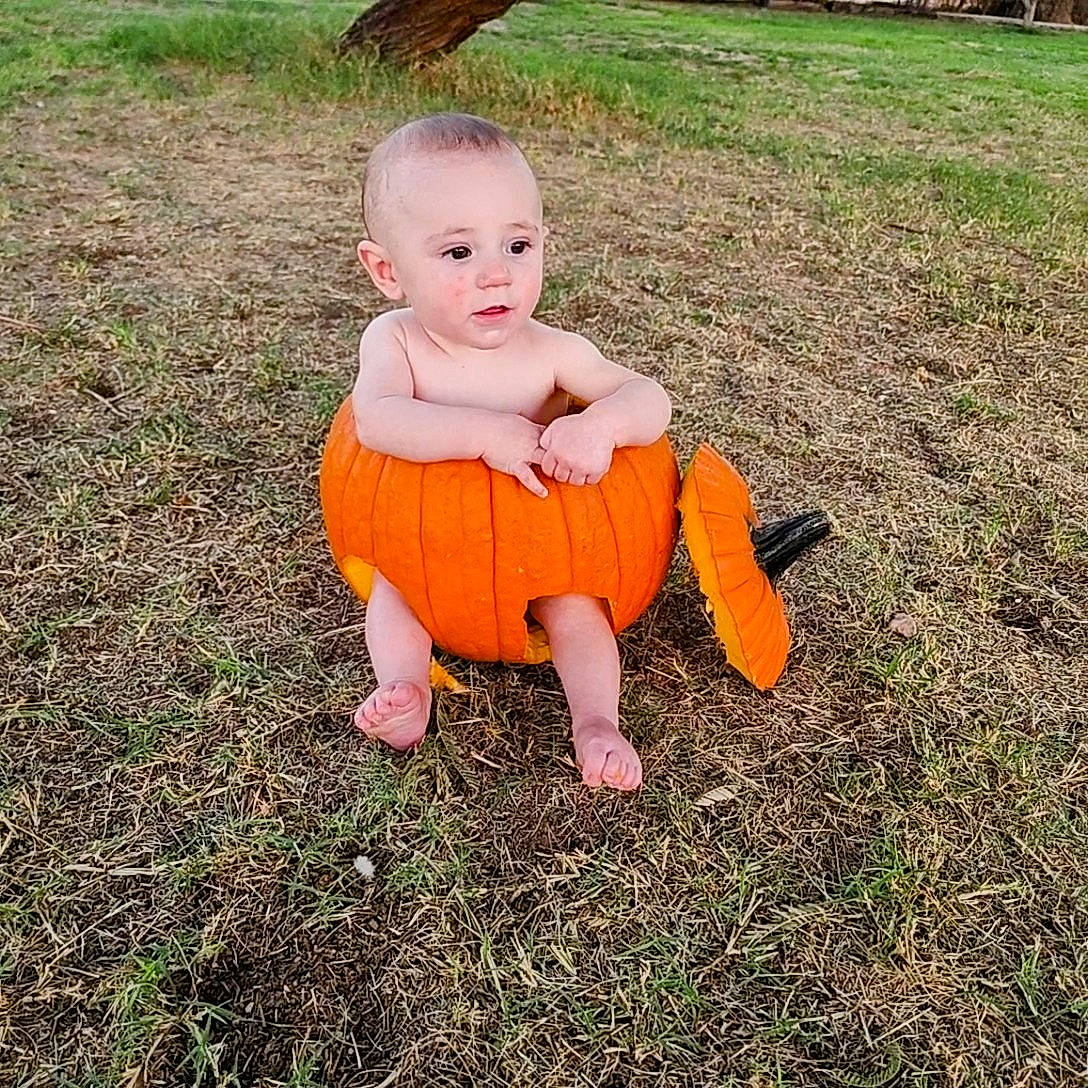 Hunter joined the competition — help win amazing prizes! baby, baby_toddler_clothing, child, foot, fun, garden, grass, happy, human_leg, lawn, leisure, people_in_nature, person, plant, play, pumpkin, recreation, sitting, soil, toddler