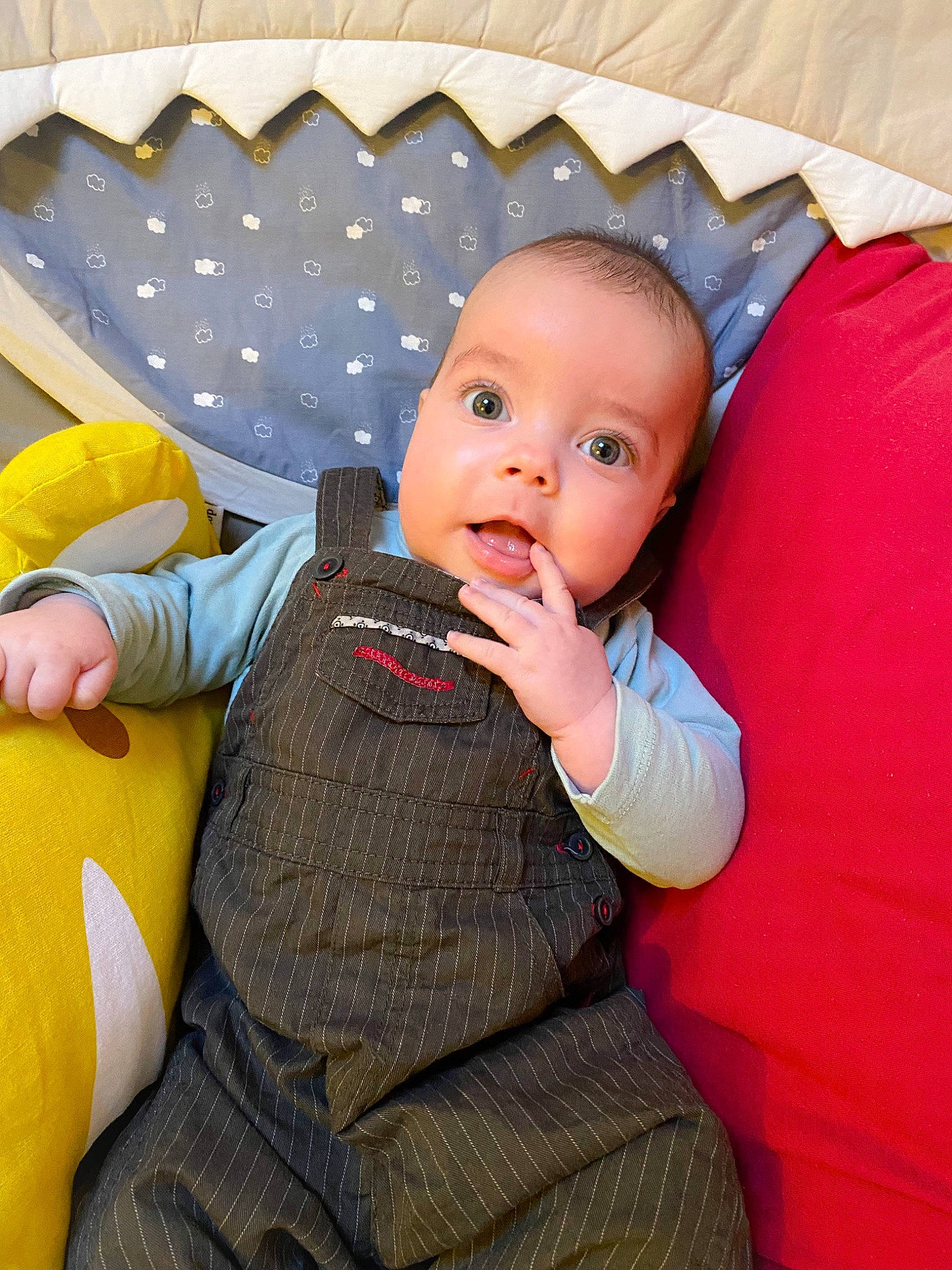 Antoine participe au concours pour gagner de l'argent avec cette photo : baby, baby_products, baby_toddler_clothing, car_seat, child, comfort, fun, happy, hat, lap, leisure, pattern, person, play, room, sitting, suit, surprise, textile, toddler