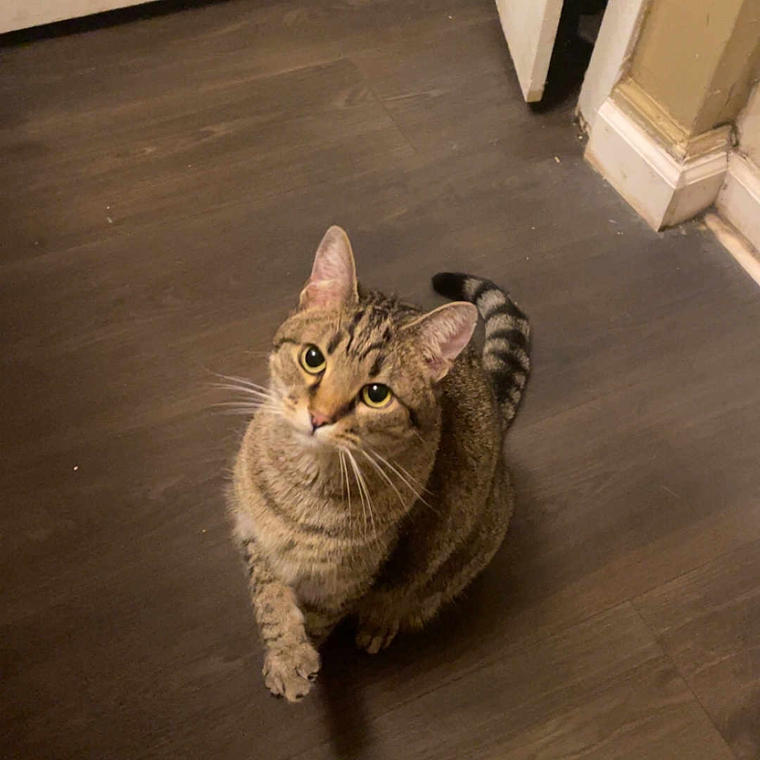 Zeus