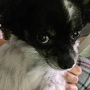 Neo is registered to the contest to win money with this photo: