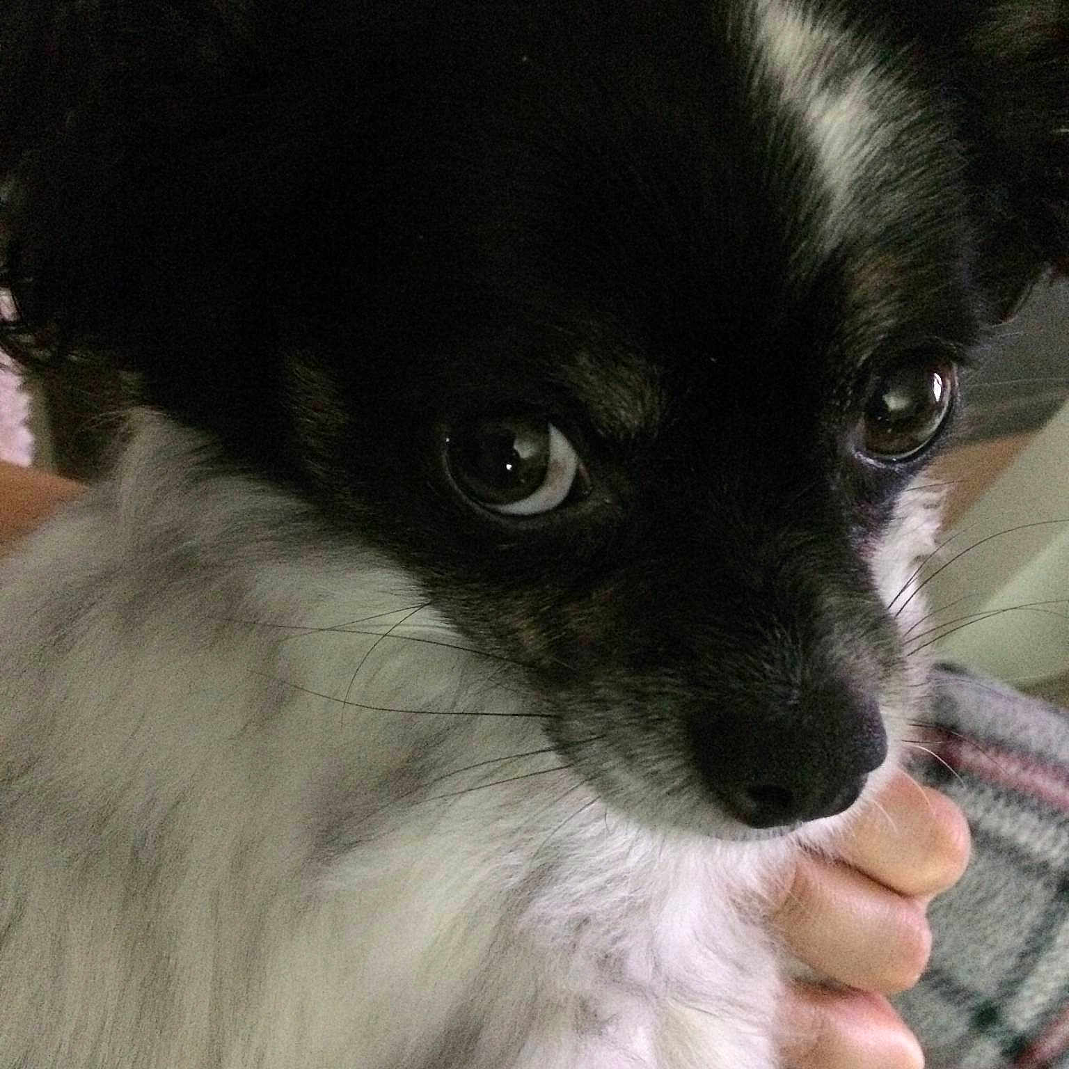 Neo