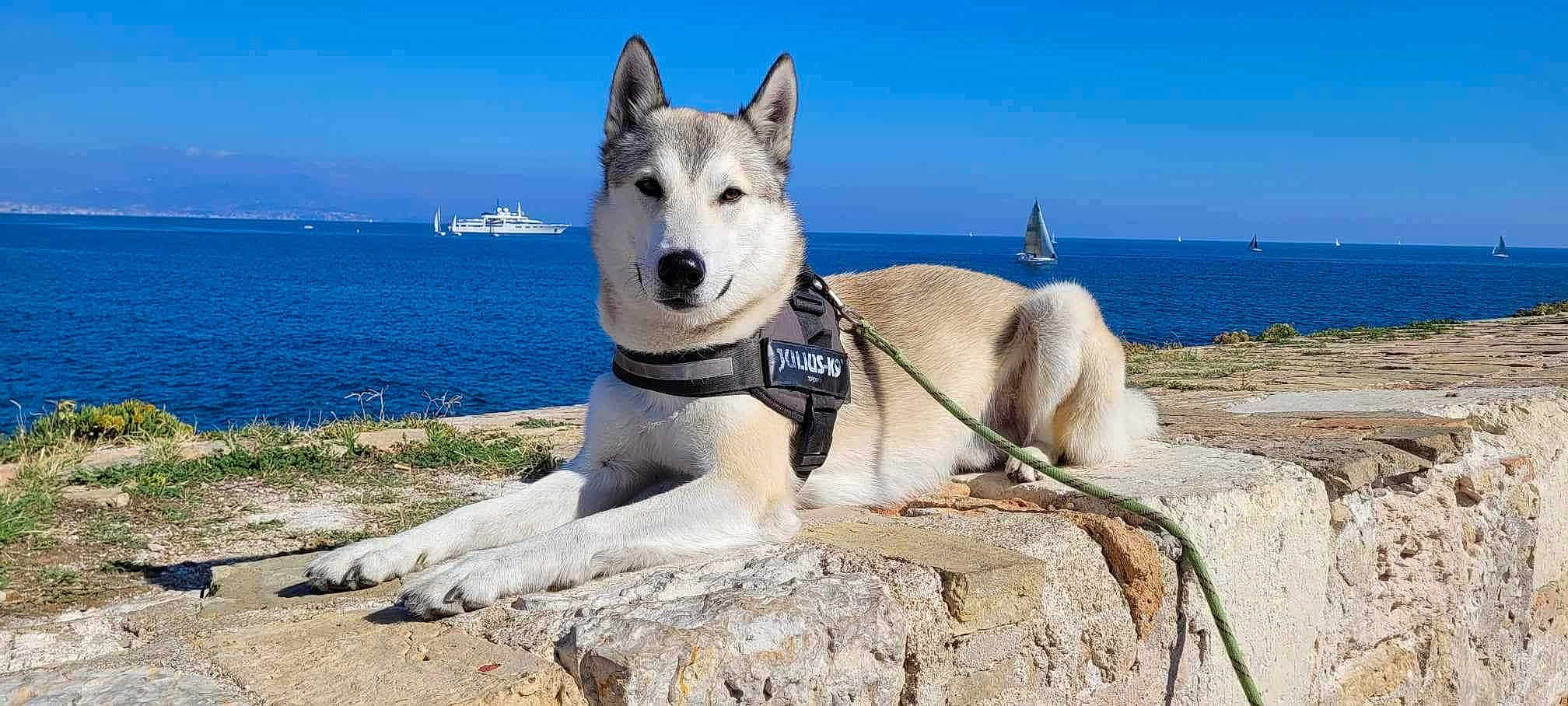 Sirka