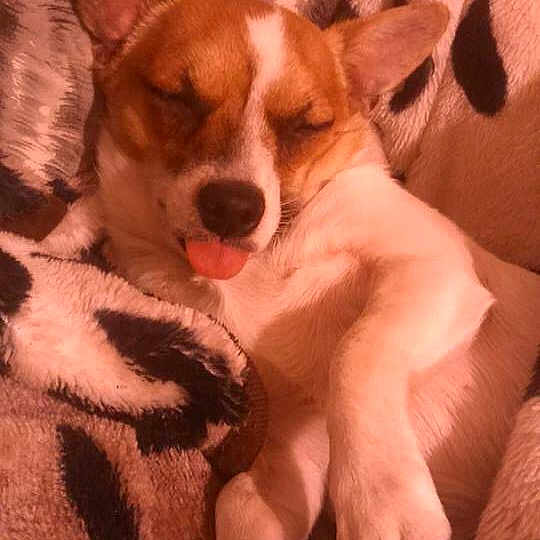 Gnasha joined the competition — help win amazing prizes!