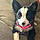 Roxy