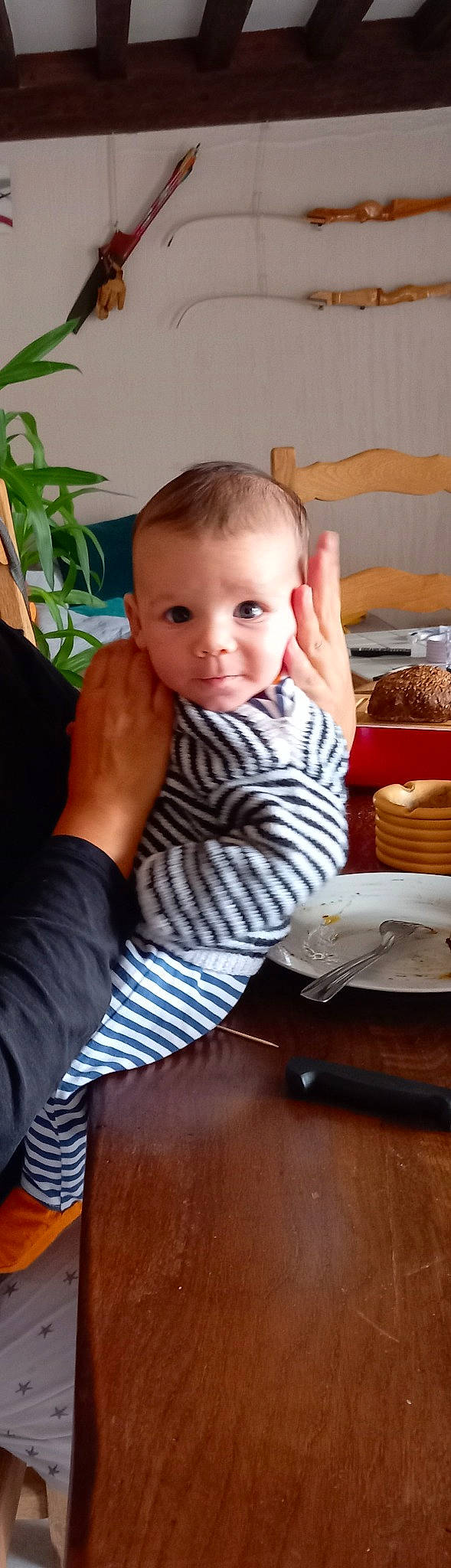 Yves a rejoint le concours — aidez-le/la à gagner de superbes lots ! baby, baby_toddler_clothing, chair, cheek, child, comfort_food, flooring, houseplant, iris, person, plant, plate, room, sitting, t_shirt, table, tableware, thumb, toddler, wood