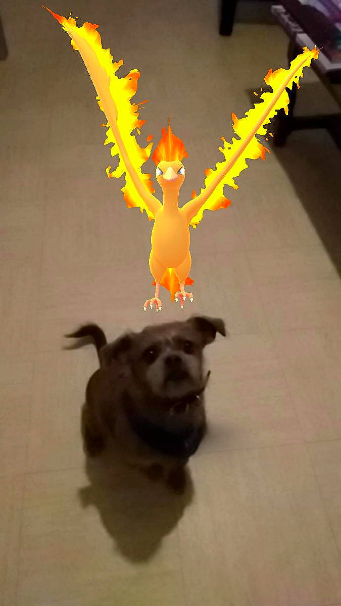 Jiovani participe au concours pour gagner de l'argent avec cette photo : action_figure, animation, art, fawn, fictional_character, figurine, toy, yellow