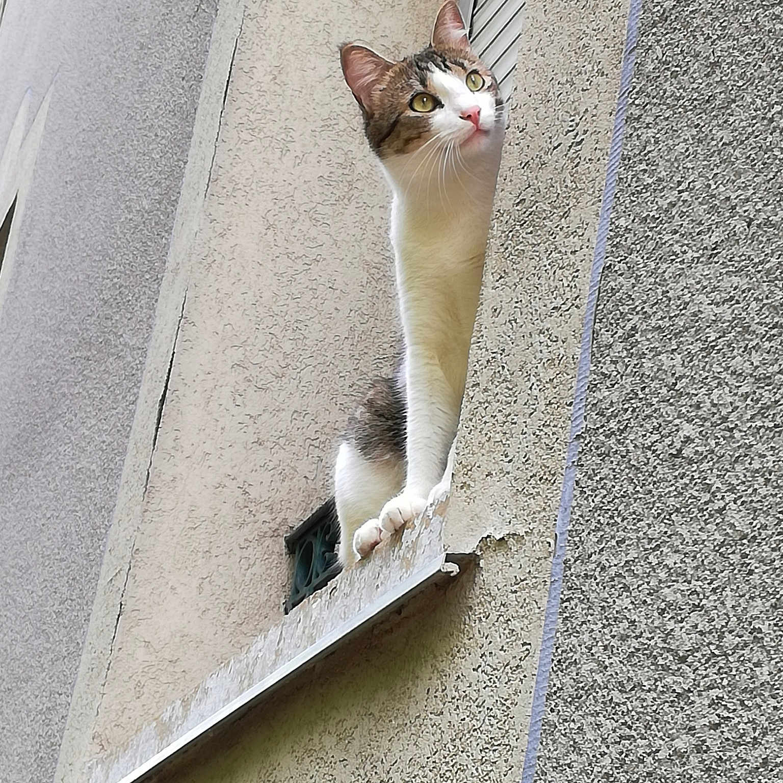 Marley