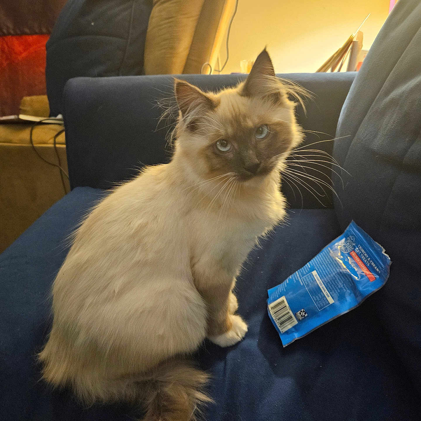 Sir Wallace