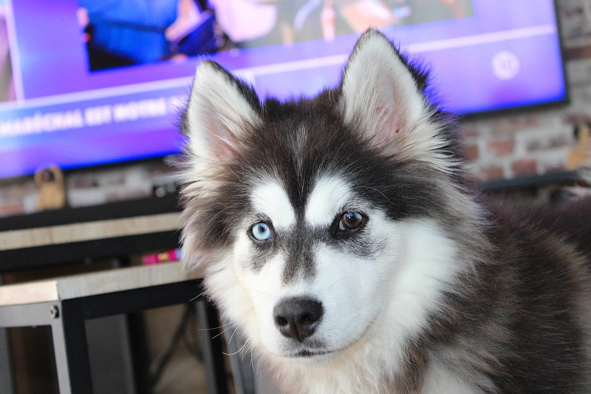 Vasko