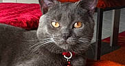 Holdy participe au concours pour gagner de l'argent avec cette photo :