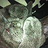Holdy participe au concours pour gagner de l'argent avec cette photo :