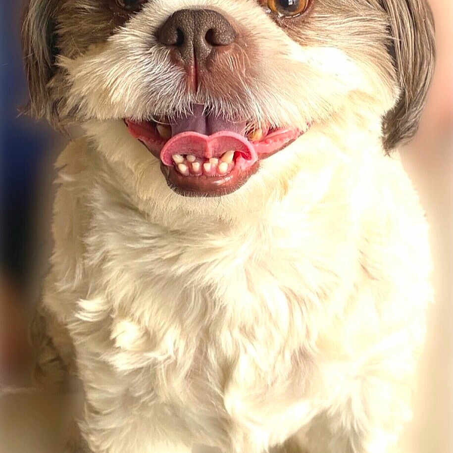 Ralph