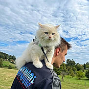 Timothé a rejoint le concours — aidez-le/la à gagner de superbes lots ! animal, blue_eyes, casual_clothing, cat, cloudy_sky, companion, daytime, field, fluffy, grass, jacket, leash, man, nature, outdoor, pet, portrait, scenic, shoulder, side_view