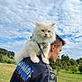 cat, animal, pet, fluffy, blue_eyes, man, shoulder, jacket, outdoor, field, grass, cloudy_sky, nature, leash, portrait, side_view, companion, casual_clothing, daytime, scenic