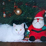 Kim Masaitis is registered to the contest to win money with this photo: animal, carpet, cat, christmas_lights, christmas_ornaments, christmas_tree, cute, decoration, festive, flash_reflection, green_eye, holiday, holiday_spirit, indoor, pet, plush_toy, red_nose, santa_claus, stuffed_toy, white_cat