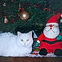 animal, carpet, cat, christmas_lights, christmas_ornaments, christmas_tree, cute, decoration, festive, flash_reflection, green_eye, holiday, holiday_spirit, indoor, pet, plush_toy, red_nose, santa_claus, stuffed_toy, white_cat