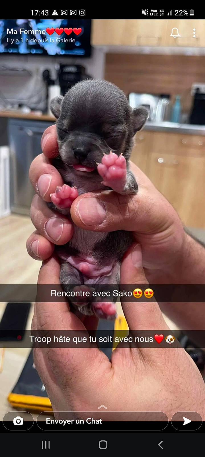 Roby participe au concours pour gagner de l'argent avec cette photo : canidae, claw, dog_breed, finger, font, fur, gesture, lemur, nail, paw, photo_caption, primate, rodent, sharing, terrestrial_animal, thumb, wildlife, wildlife_biologist