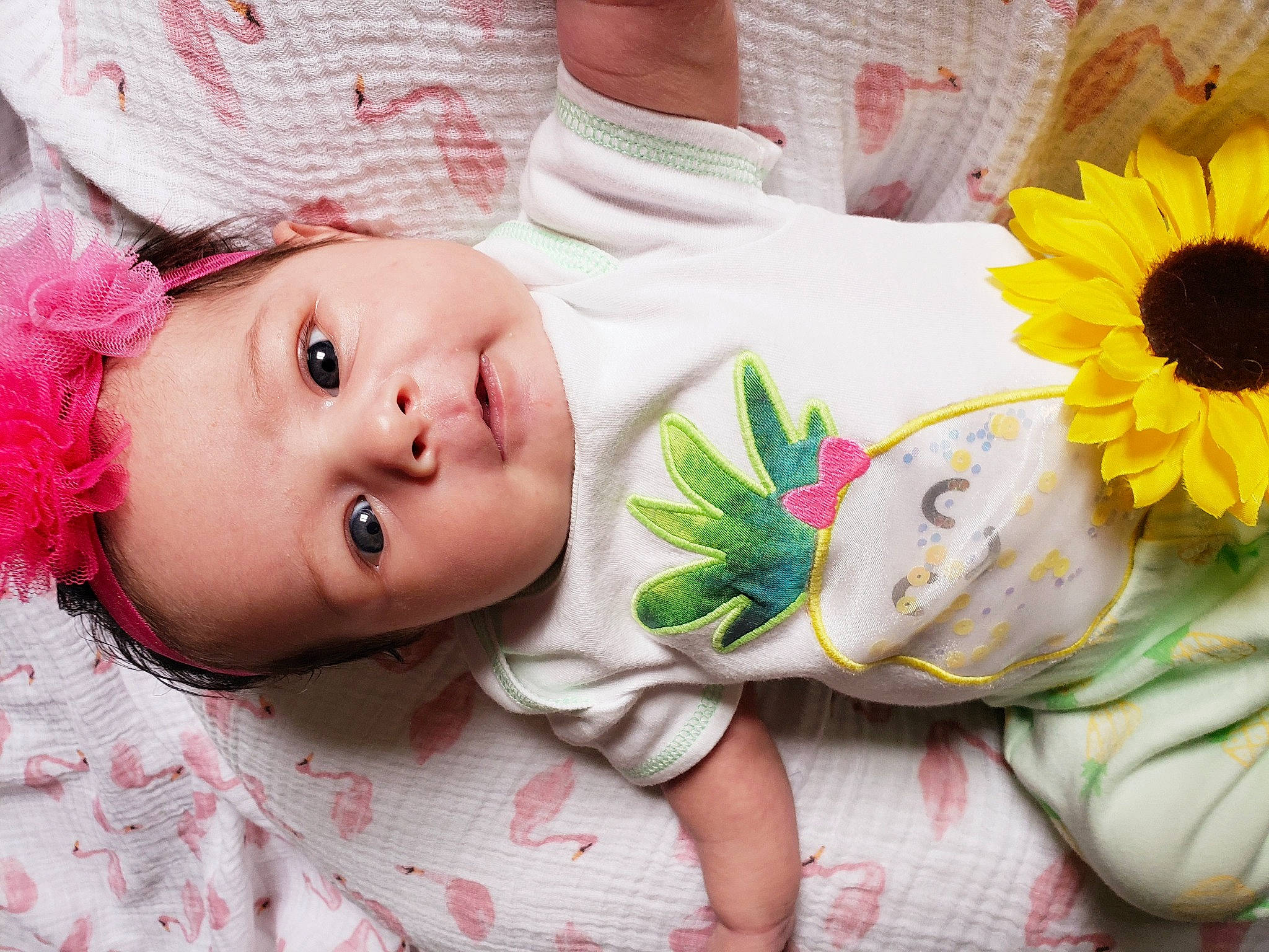 Daisey joined the competition — help win amazing prizes! baby, baby_toddler_clothing, cheek, child, flower, hair_accessory, happy, person, pink, plant, smile, toddler, yellow