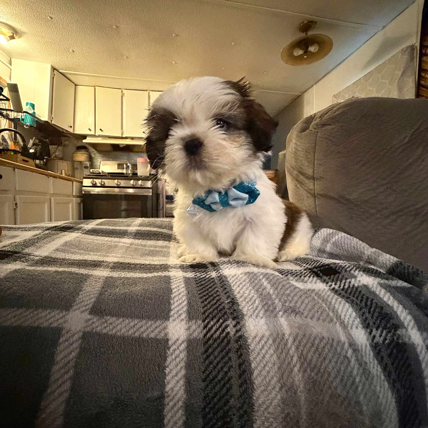 Milo