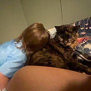 Princess is registered to the contest to win money with this photo: cat, person, bed, indoor, tortoiseshell_cat, animal, feline, brown, blue_clothing, hair, blanket, resting, curious, furniture, closeup, domestic, pet, human, cozy, room